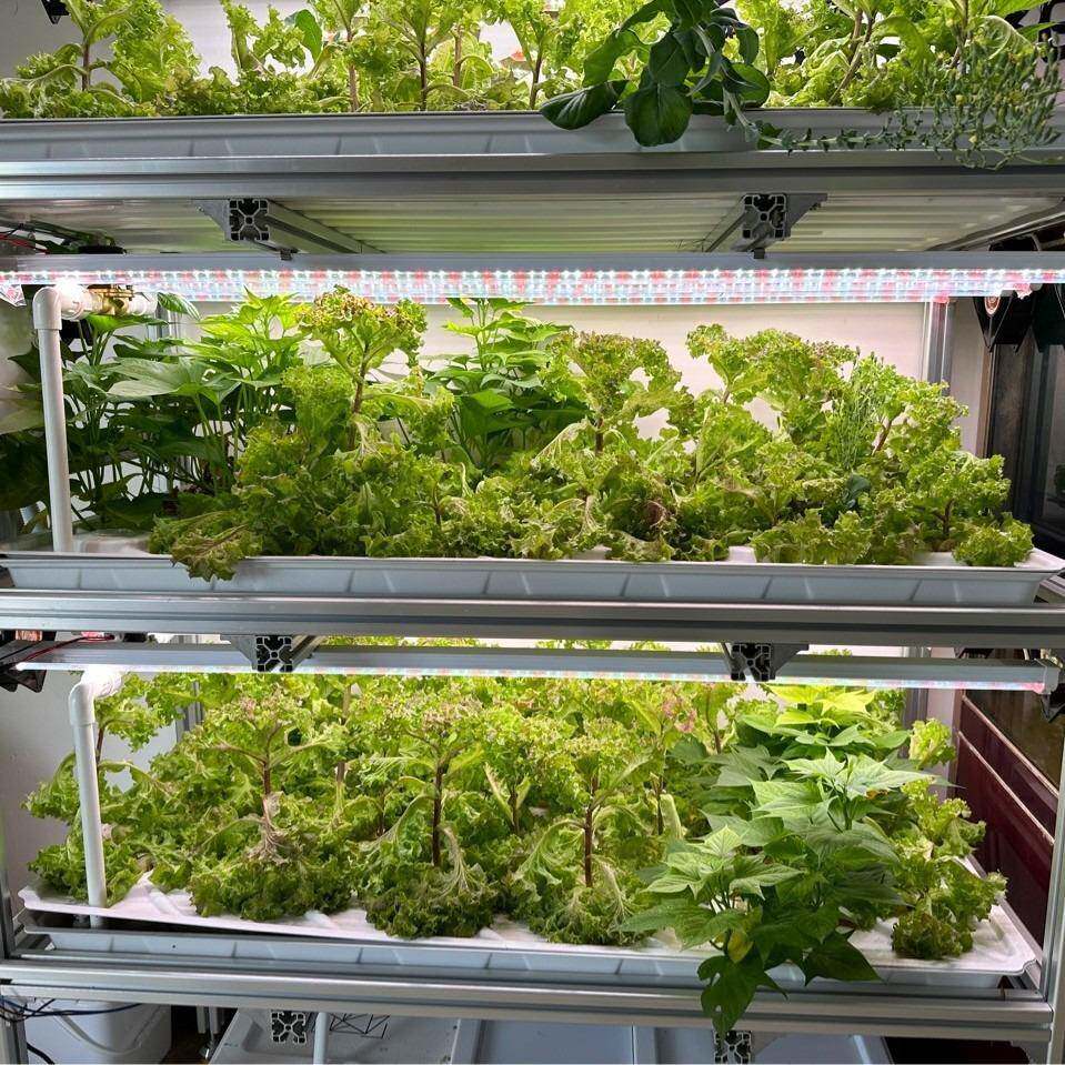 水培蔬种菜箱盆农场种菜植盘系花盆统架无土培多栽种植盆孔托盘