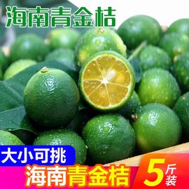 5斤海南小金桔新鲜应季一级水果酸小青桔柠檬奶茶榨汁薄皮橘