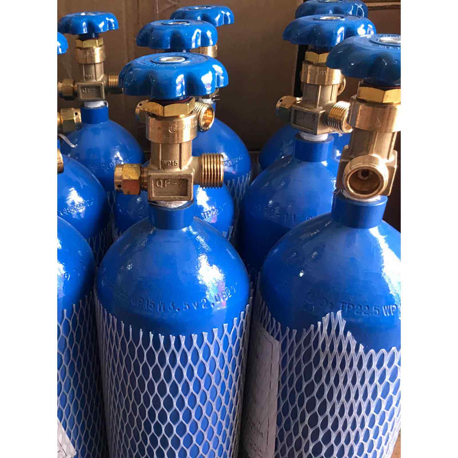 2L4升国家标准氧气瓶8L10家用15L便携式鱼类运输小型工业焊接高压