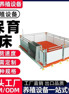 正红养殖设备 养殖场仔猪保育床 小猪仔猪专用欧式保育床保育栏