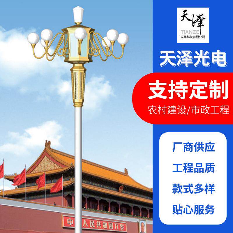 厂家定制道路照明中华灯城市建设公路路灯玉兰灯中华灯可