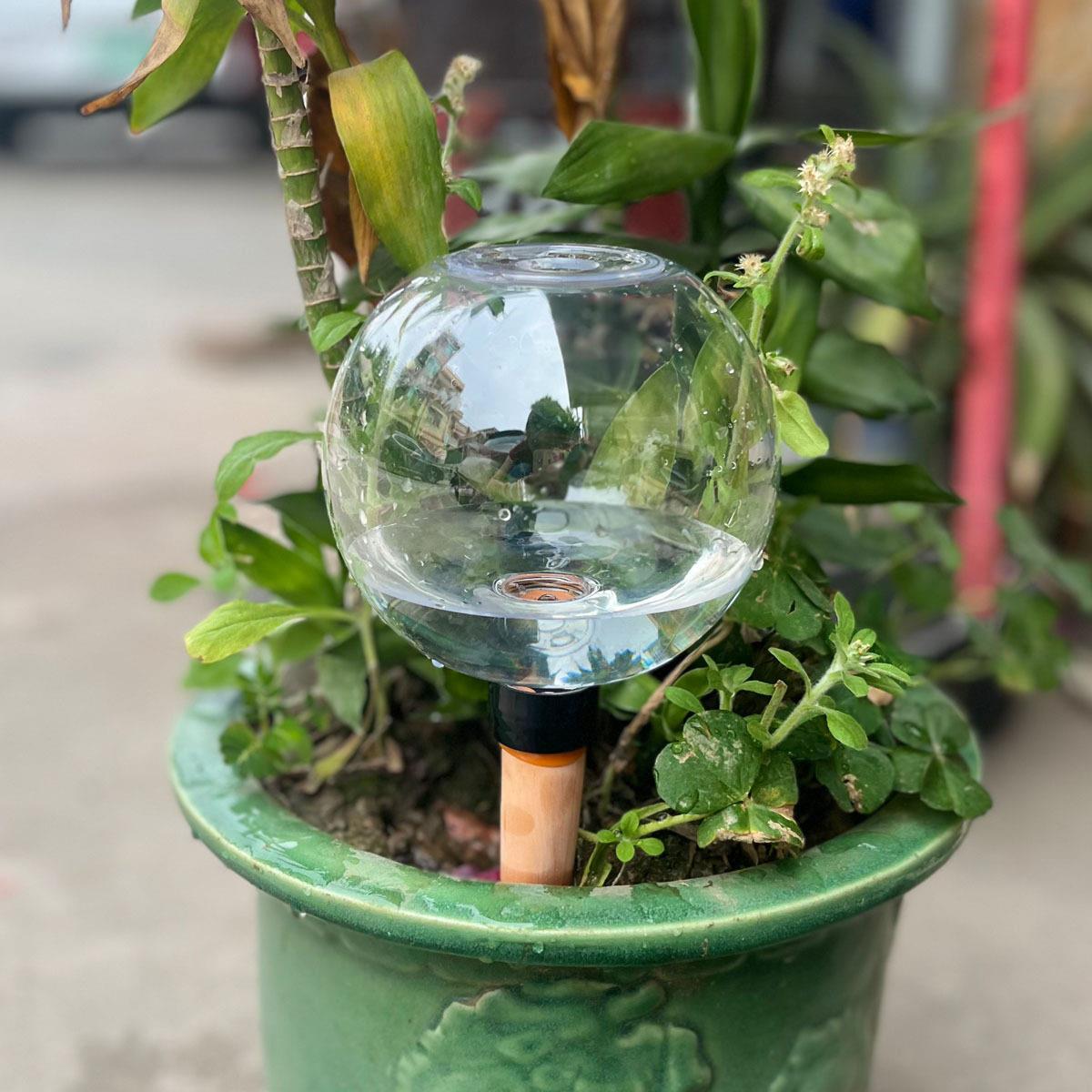 自动浇水器家用滴灌多肉浇花器懒人淋花滴水器盆栽自动滴灌器