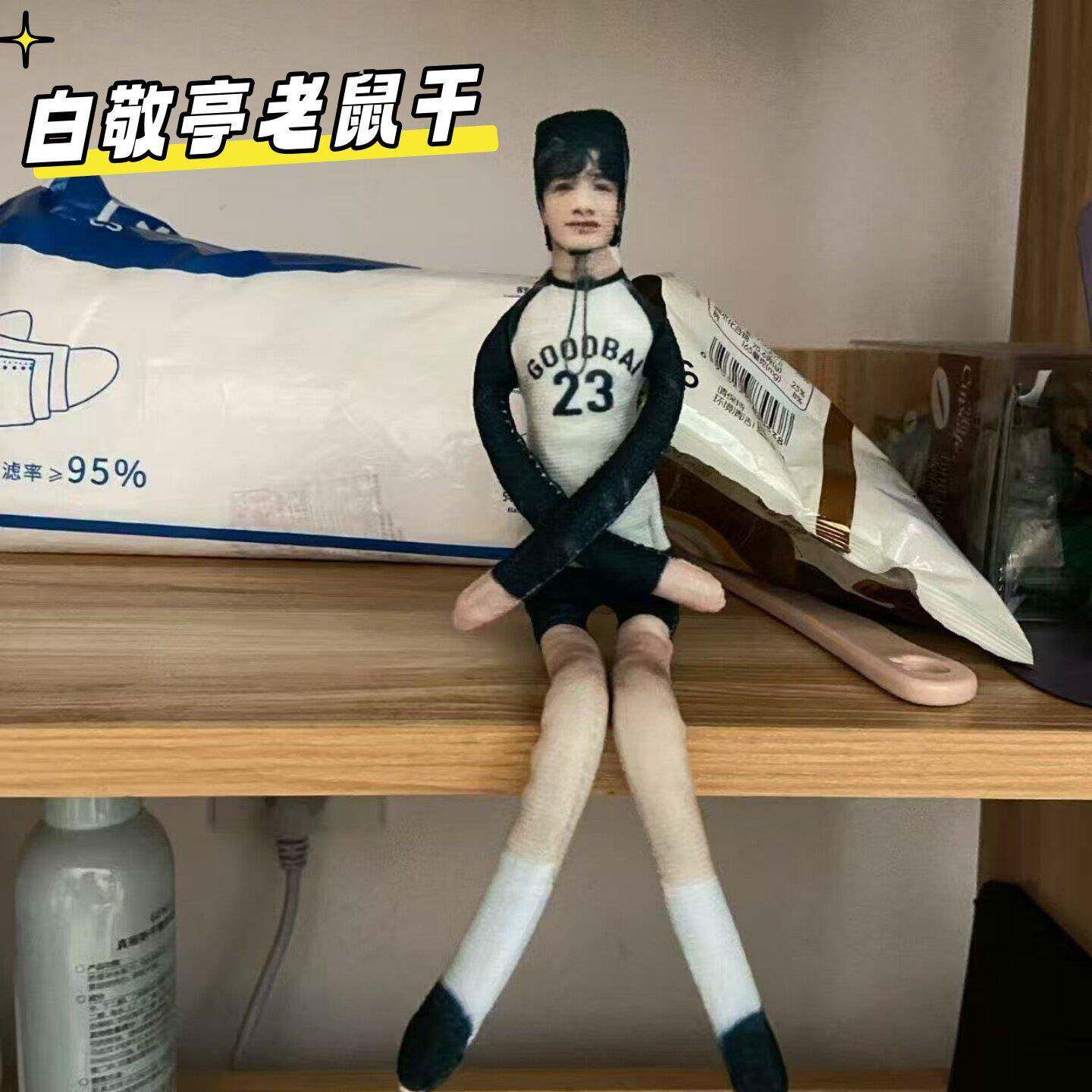 白敬亭老鼠干现在就出发两面不同铁丝骨架四肢分离全身可动抽象