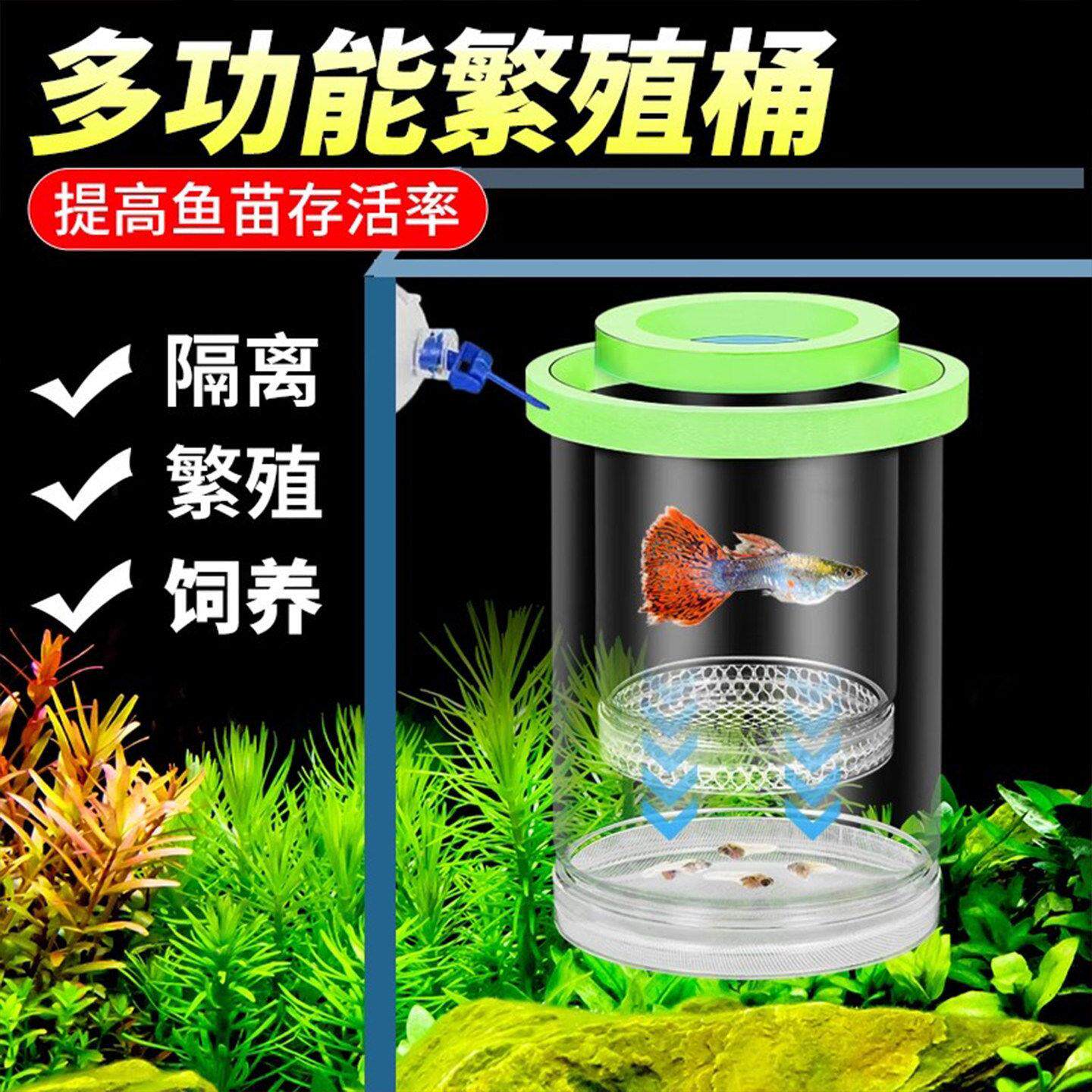 鱼缸隔离盒孔雀鱼繁殖盒鱼缸孵化器小鱼幼鱼母鱼产房悬浮漂浮式