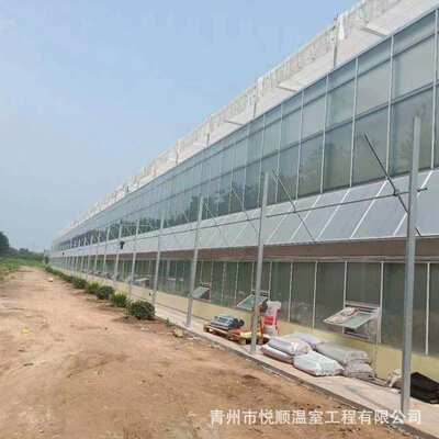 连栋薄膜温室大棚日光温室透明塑料薄膜蔬菜大棚景观农业工程项目