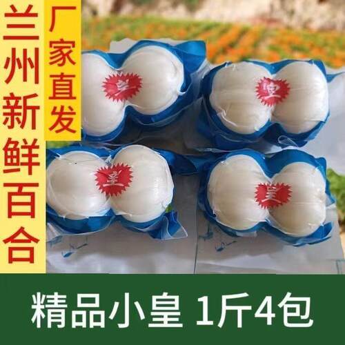 甘肃土产兰州兰州精品四头皇新鲜百合