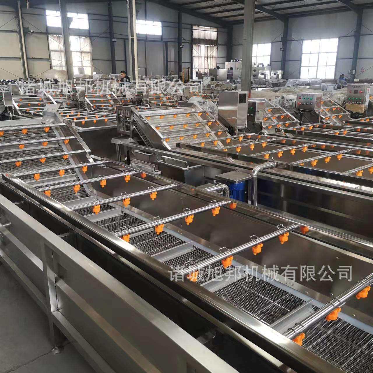 豆芽菜苗水流清洗设备 紫甘蓝洗菜气泡清洗机 橘子山楂芒果洗净机