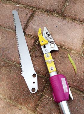 伸缩枝高剪缩高空剪高枝摘伸果剪采果剪修枝剪果树高QNM枝锯高枝