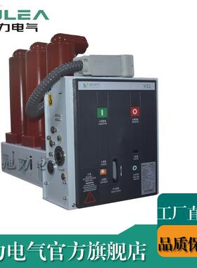 旭力 VS1-12侧装式 固封式真空断路器 10KV户内室内高压开关