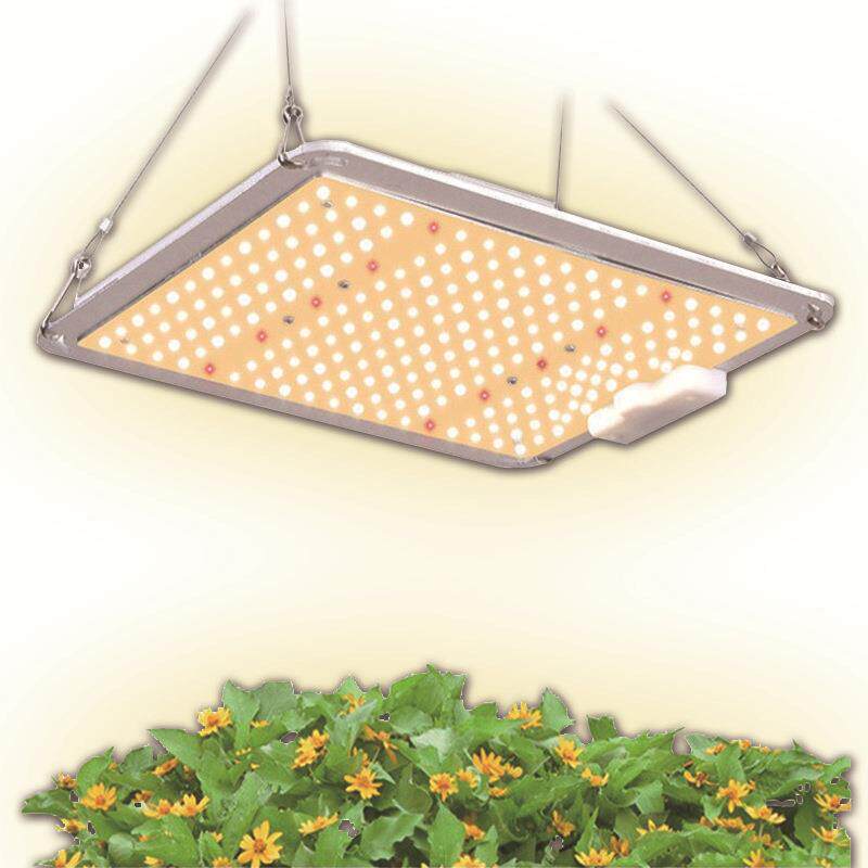 LED植物生长灯 全光谱多肉补光灯600W蔬菜育苗培育量子板植物灯