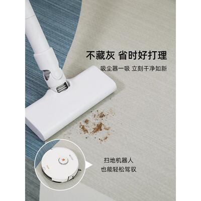 地毯客厅2025新RTC免擦沙发地垫洗大面可积卧室房间款感家用防水