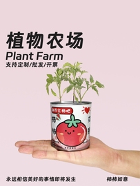 办公室绿植小盆栽室内迷你桌面，儿童种植情绪，稳定礼物花盆创意罐头