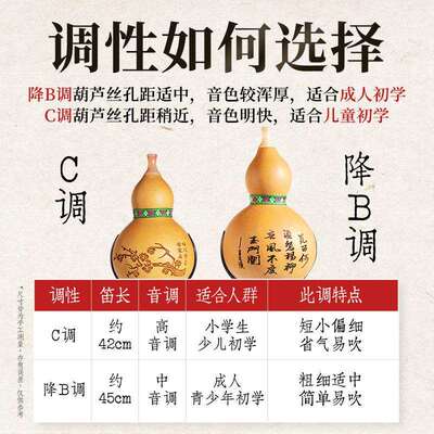 现芦紫竹葫丝小学生专c调降b调货楠竹初用学者儿童成人演奏HQG型