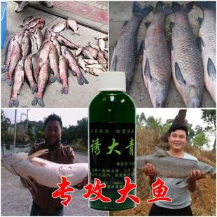 钓青鱼饵料添加剂诱大青草鱼小药约箹黑皖香精廖师傅黑坑水库打窝
