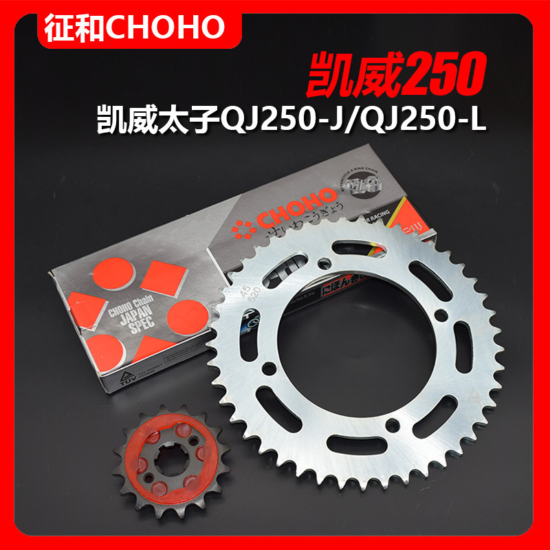 适用钱江凯威太子摩托车配件QJ250-J/QJ250-L大小飞链盘链条链轮