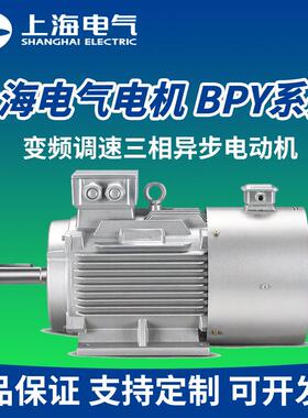 上电电机BPY-132S2-27.5kW380VF/H级绝缘IC416冷却IP55/65防护