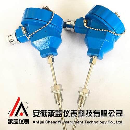 温度传感变送器WZPK-246B防爆铠装热电阻PT100A级温度传感器测温
