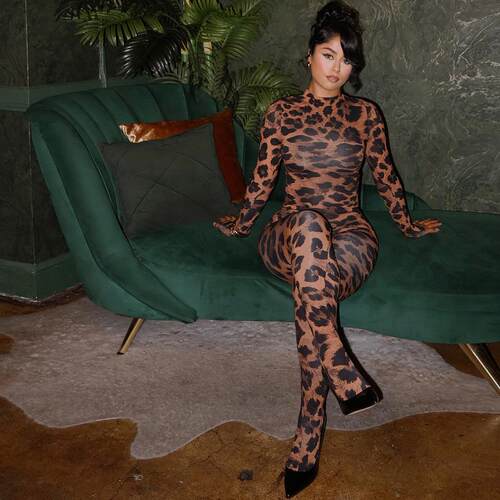 Animal Print Fitted Casual High Neck Long Sleeve Top And