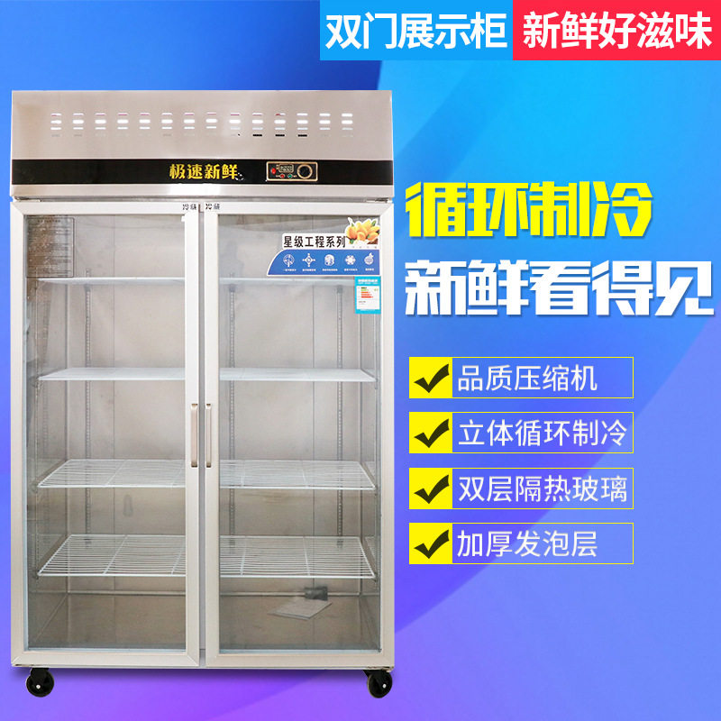 蚂蚁磁电双门展示柜风冷立式冰柜冷藏柜保鲜柜不锈钢商用冰柜