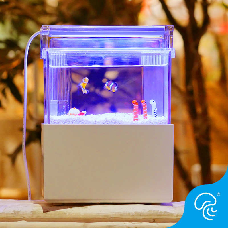 桌面小鱼缸小丑鱼迷你海水缸小型办公室斗鱼水族箱微景观生态套装
