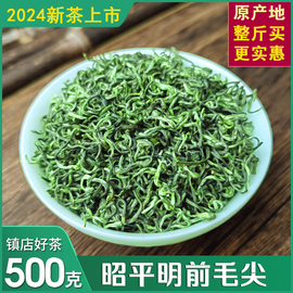 2024新茶广西昭平毛尖浓香型碧螺春高山云雾茶绿茶散装茶叶500g