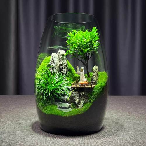 苔藓微景观生态瓶造景植物雨林创意小摆件桌面森林玻璃养鱼生态缸
