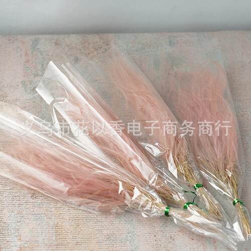 新款直销梦幻仙女草天然干花diy永生花北欧风家居装饰插花