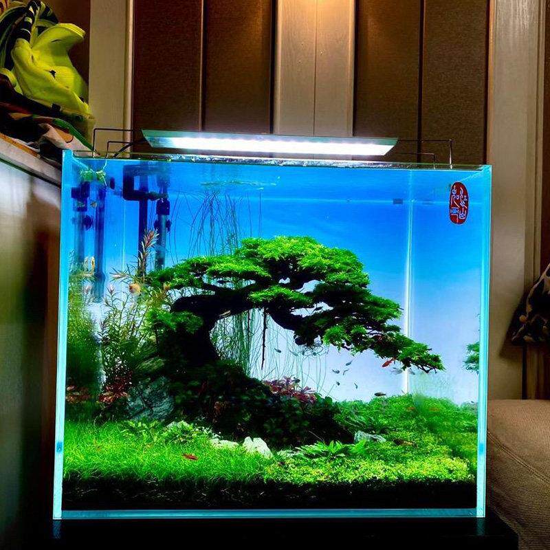 鱼缸造景树溪流缸造景全套沉木盆景摆件装饰南美缸海缸草缸生命之