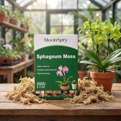 MOONSPRY Multifunctional Moss Natural Moss for Versatile Pla