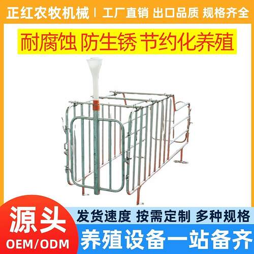 正红养浸殖设FQC备母猪定位定栏限 母猪热锌位栏 位栏