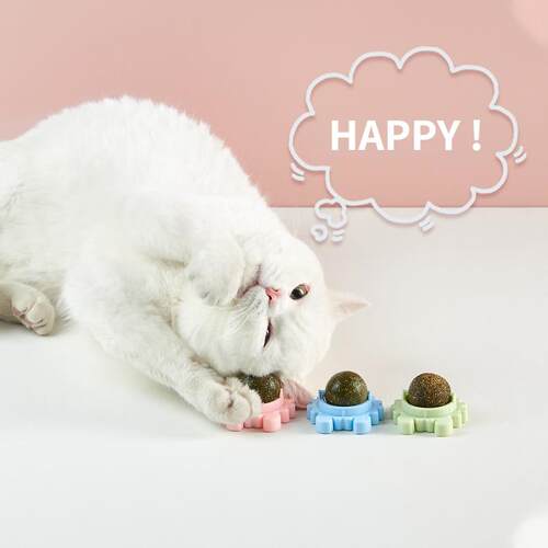 360° Rotation Natural Pet Roducts Cat Toys Chewing Toy Acce