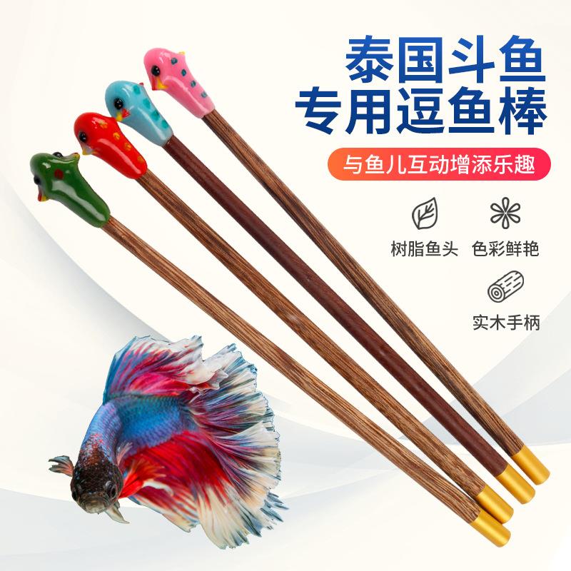泰国斗鱼棒逗鱼棒纯手工制作半月狮王马尾斗鱼玩具展尾互动斗鱼棒