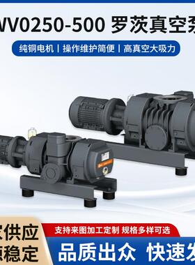 WV0250-500罗茨真空泵工业包装用抽速快大气量机械厂家抽气泵