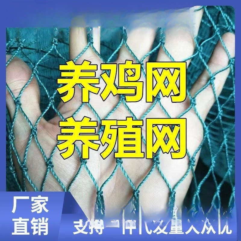 养殖养鸡网围栏拦鸡网家禽塑料网护栏网防护网菜园围网尼龙网商用