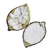 硅藻泥 助FML滤剂吸附剂硅用土 厂家供应藻土 污水处藻理硅藻土硅