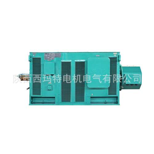 西安电机YR5604-8极800W10V破碎机用绕线型三相异步电动机