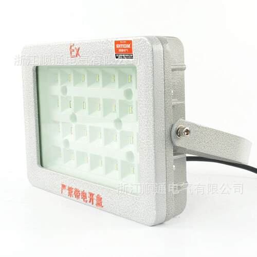 LED防爆投光灯仓库厂房车间工地应急防水防尘隔爆照明灯100W-300W