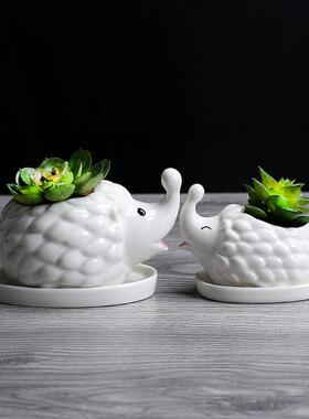 多肉陶瓷花盆 园艺创意花盆带托盘 韩式办公桌面盆栽陶瓷工艺品