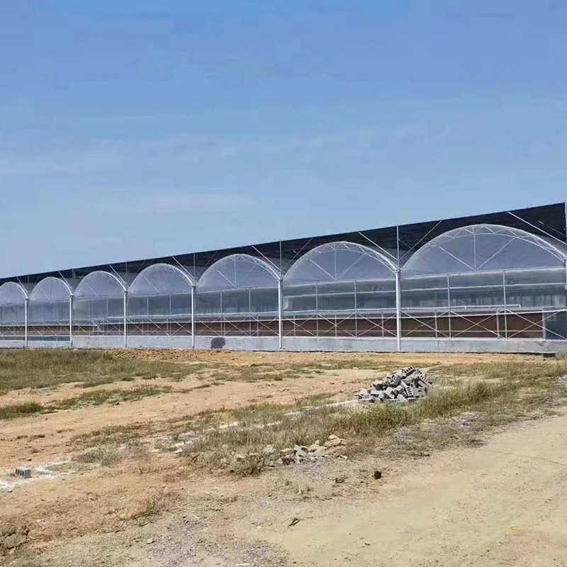 连栋温室大棚薄膜连栋大棚厂家农业育苗温室种植大棚连栋遮阳大棚,农机/农具/农膜,温室大棚支架,淘宝优惠券,粉丝福利购,淘宝优惠卷