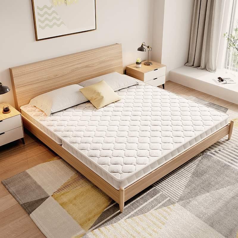 E椰棕家用榻榻米硬薄垫子出租屋经济型双人棕榈席梦思1.8米床垫