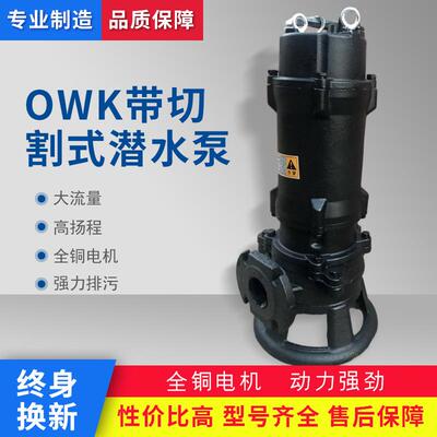 2寸3W双铰刀切割排污泵杂物切碎泵抽污水不阻塞水泵