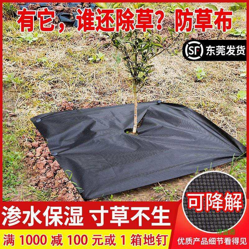 厂家直销果园布树除草布农用防草布保湿草地遮盖槟榔地膜生态