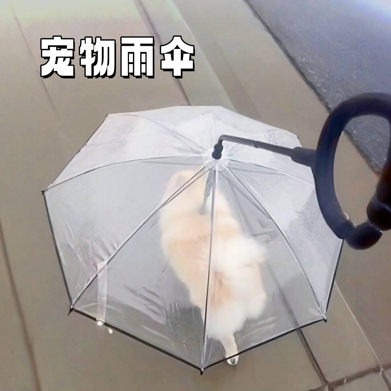 宠物雨伞狗狗牵引绳加粗可调节泰迪柯基中小型犬夏季雨天遛狗神器