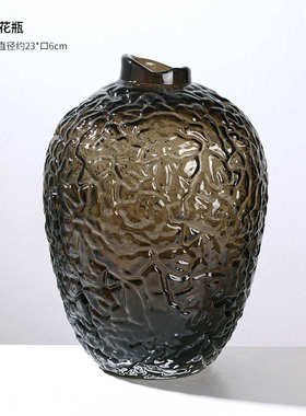 大肚子器设计客厅现代花新品玻璃小口吊钟花瓶水培插花创意