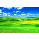 尺寸是定制蓝天白云草地简约电视背景墙18D树林风景画壁画FJ6988