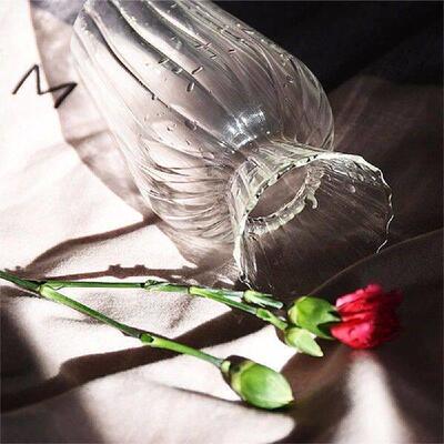Transparent Vase Minority Versatile Modern Exquisite
