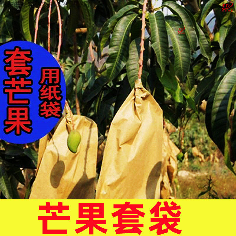 枇杷芒果套袋专用袋子桃梨防鸟包纸袋套果袋果树水果实番石榴