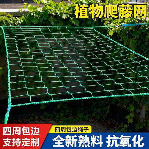 植物爬藤网百香果丝瓜种植网网格网爬架网瓜果攀爬网爬藤架瓜棚网