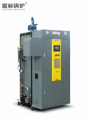 0.5T立式电蒸汽锅炉