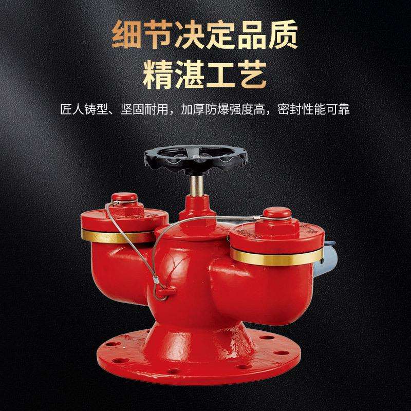 地上多功能水泵接合器 SQD100-1.6水泵结合器地下水泵结合器